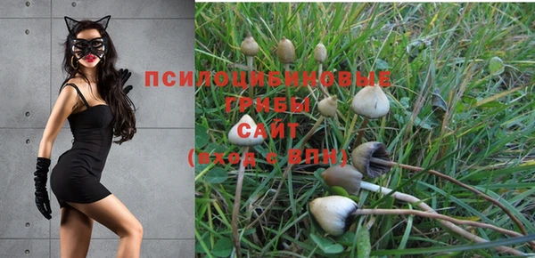 spice Алексин