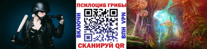 Псилоцибиновые грибы MAGIC MUSHROOMS MEGA зеркало Чебаркуль купить