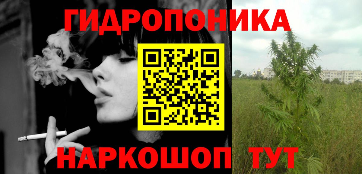 Конопля план Чебаркуль